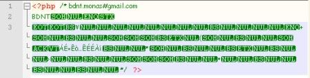 monas php encoder